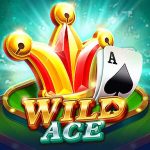 777color slot-wild-ace